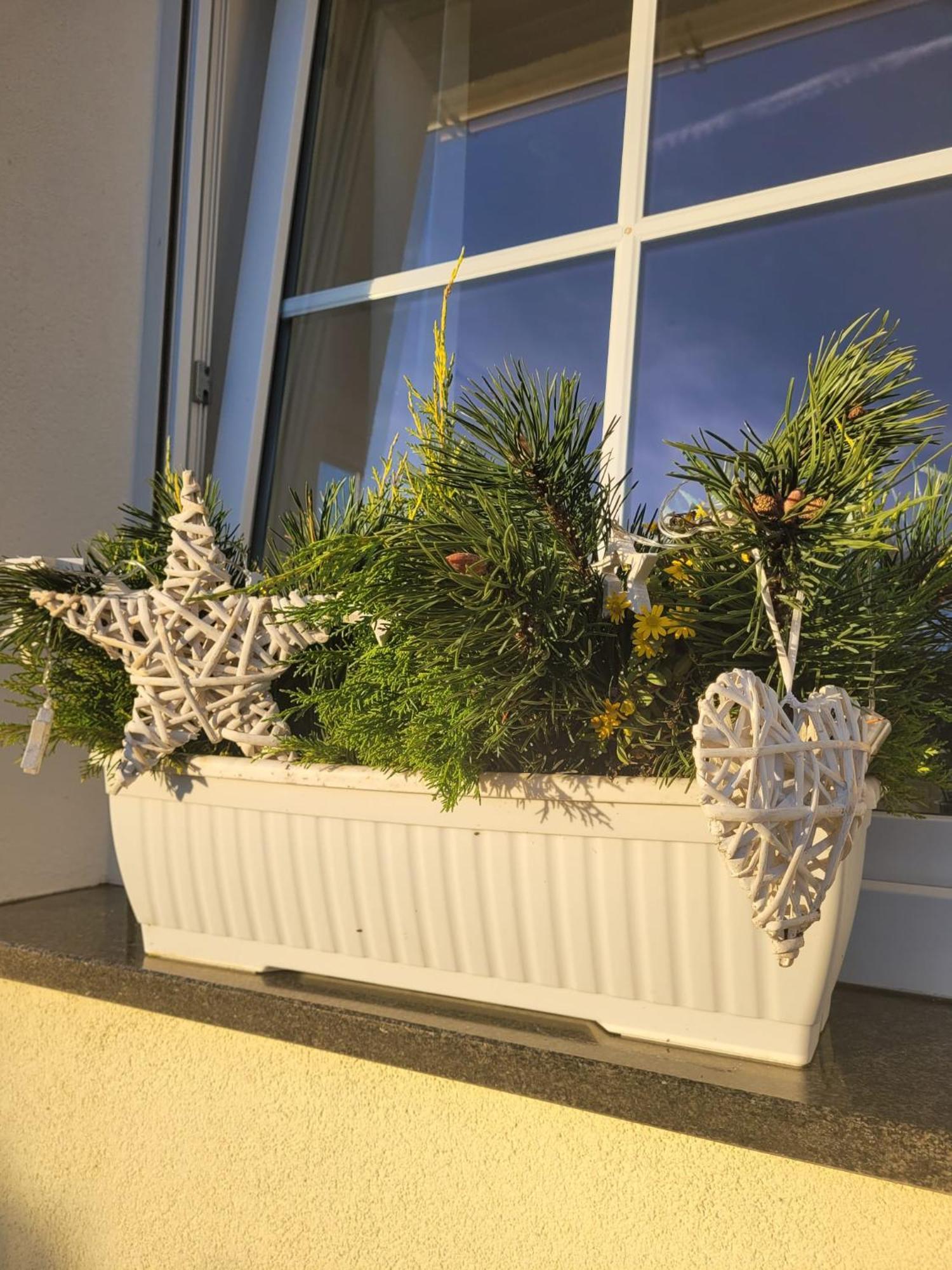 Ferienwohnung Ott Amelinghausen Buitenkant foto